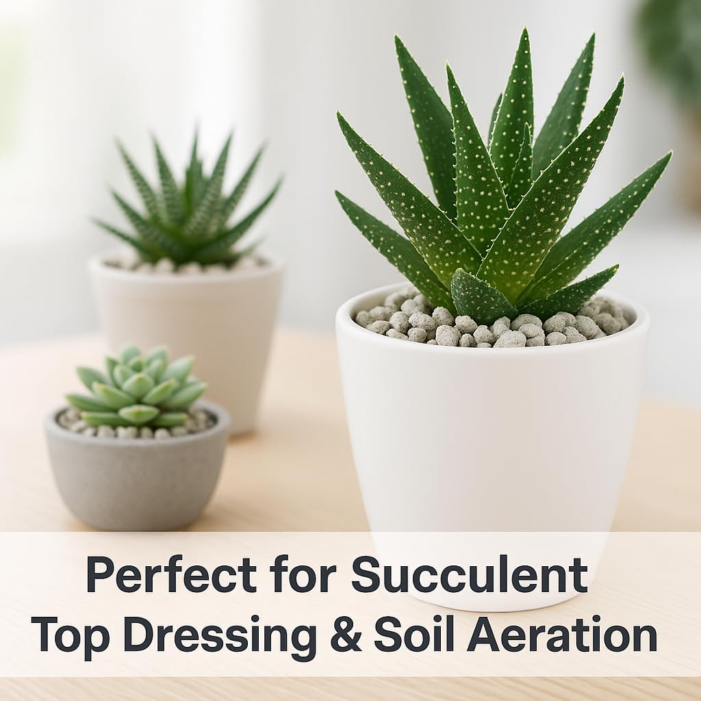 Horticultural Pumice for Plants, Natural Pumice Stone Soil Amendment, 3/8-1/4 inch, Made in USA (30 quarts - 27 lbs)