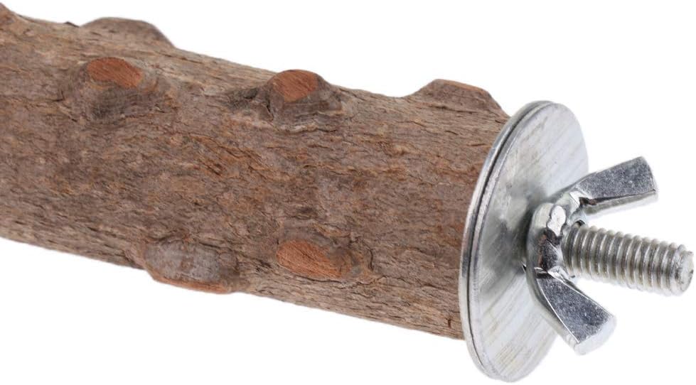 Hypeety Natural Wood Perch Stand Toy for Budgie, Parakeet, Cockatiel, Conure, Lovebird (7.86 inch)