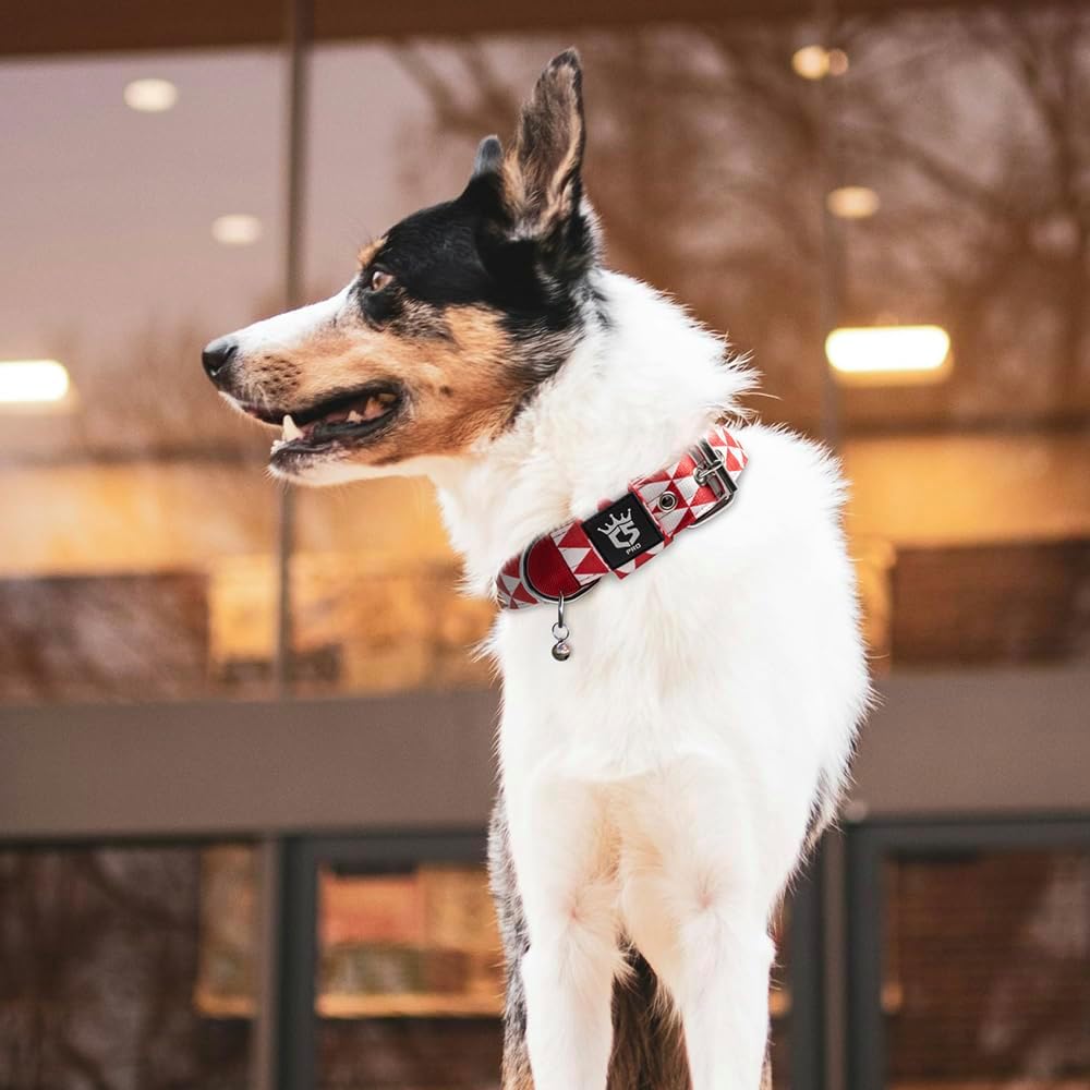 TSPRO Tactical Dog Collar 1.5 Inch Wide Thick Dog Collars with Heavy Duty Metal Buckle, Durable, Strong, Adjustable for Medium to Large Dogs (Geometric M)