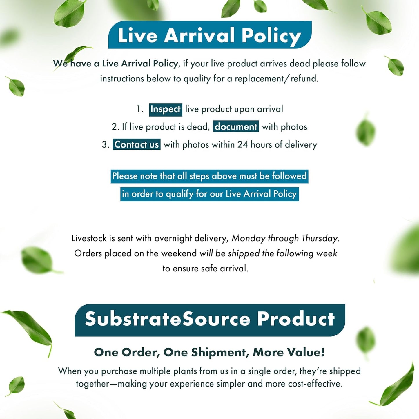 SubstrateSource Live Aquarium Stem Plants - Freshwater Aquatic Plant for Fish Tanks, Aquascaping - (Moneywort Bacopa Monnieri, 1 Bunch)