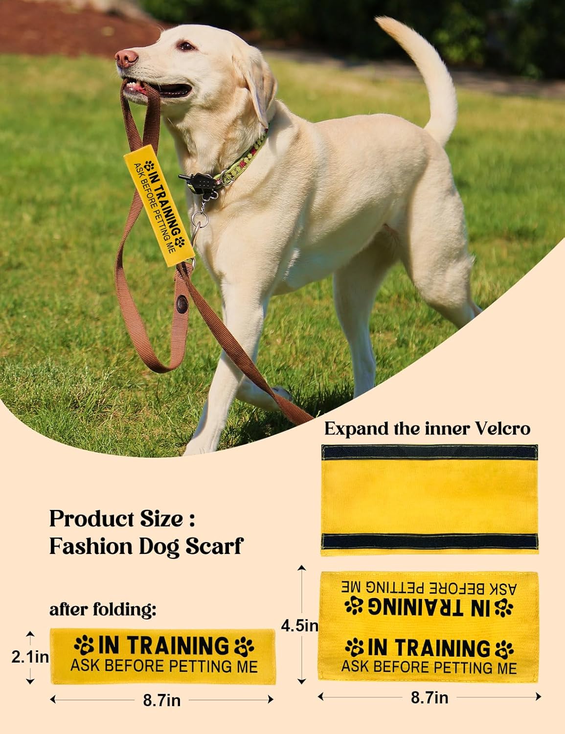 in Training Ask Before Petting Dog Leash Sleeve, Funny Yellow Dog Leash Wrap Alert Hanging ID Patch Tag, in Training Leash Wrap Service Dog Leash Wrap Pet Birthday Gifts for Dog Owners