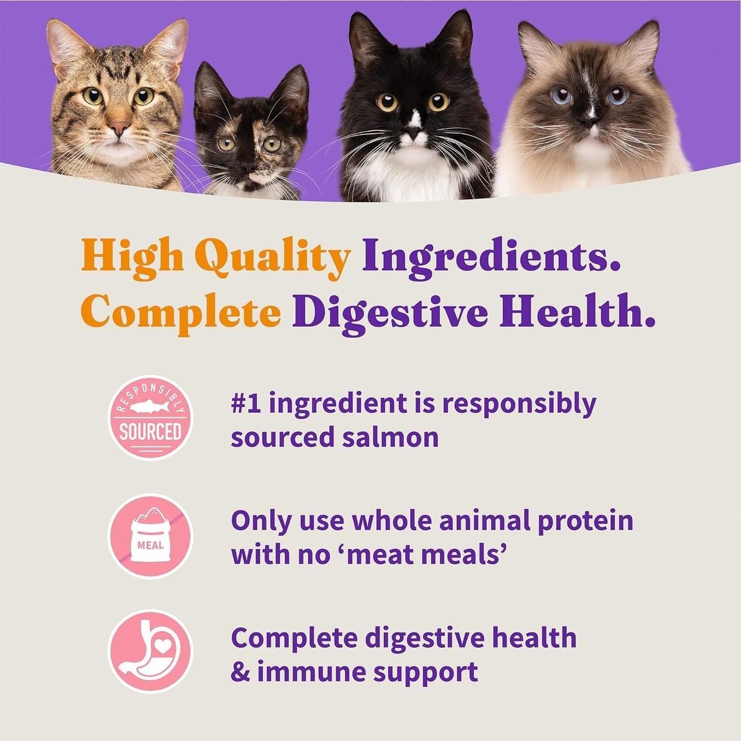 Halo Holistic Kitten Food, Wild Caught Salmon & Whitefish Recipe, Grain Free Dry Cat Food, Complete Digestive Health, 6 lb Bag
