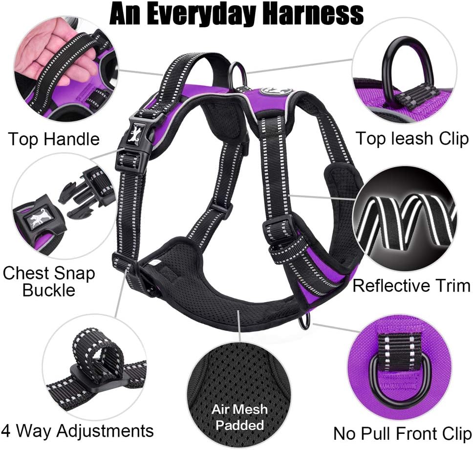 PoyPet No Pull Dog Harness, Reflective Comfortable Vest Harness with Front & Back 2 Leash Attachments and Easy Control Handle Adjustable Soft Padded Pet Vest for Small to Large Dogs (Purple,M)