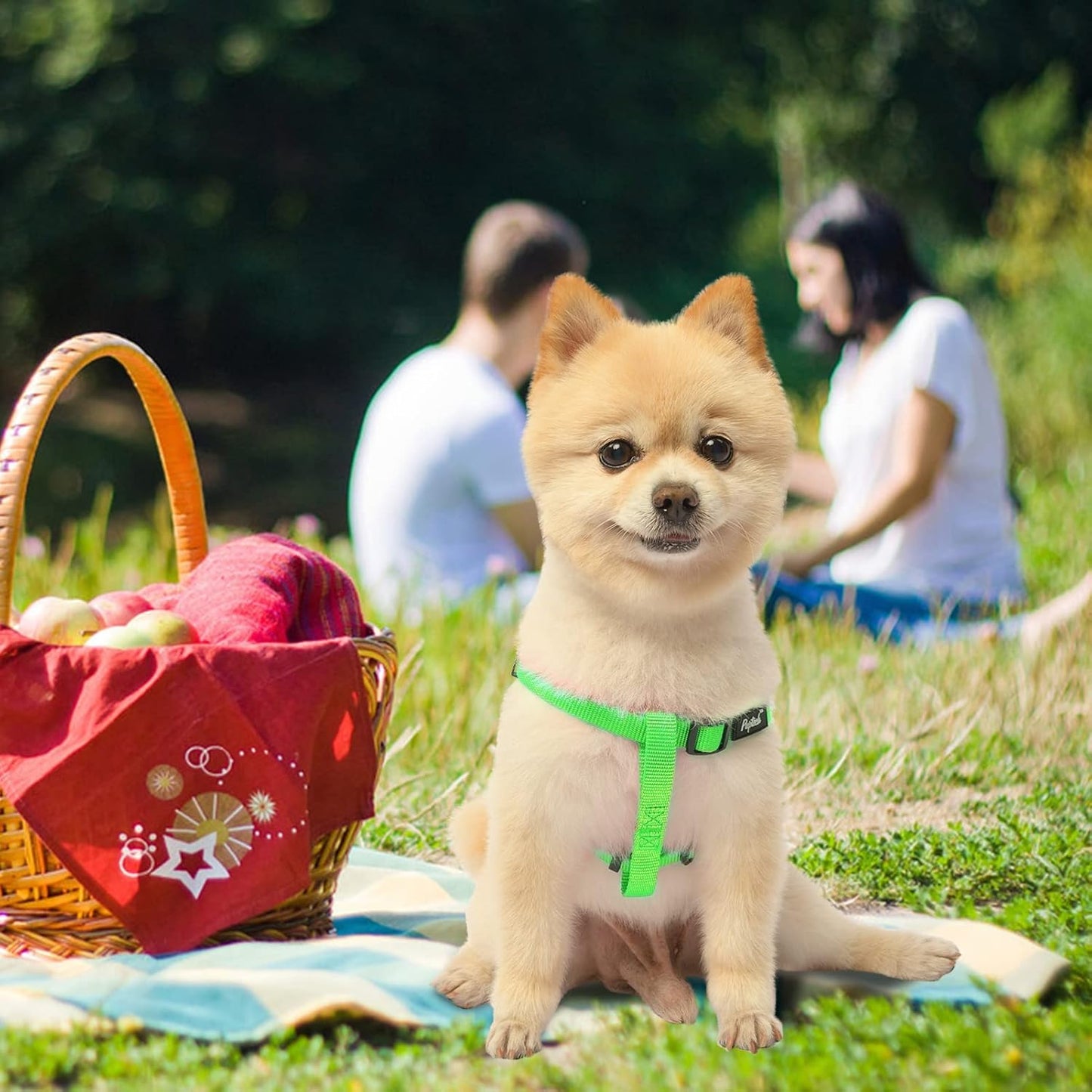 PUPTECK No Pull Dog Harness Soft Adjustable Basic Nylon Step in Puppy Vest Outdoor Walking with ID Tag, Green, XS