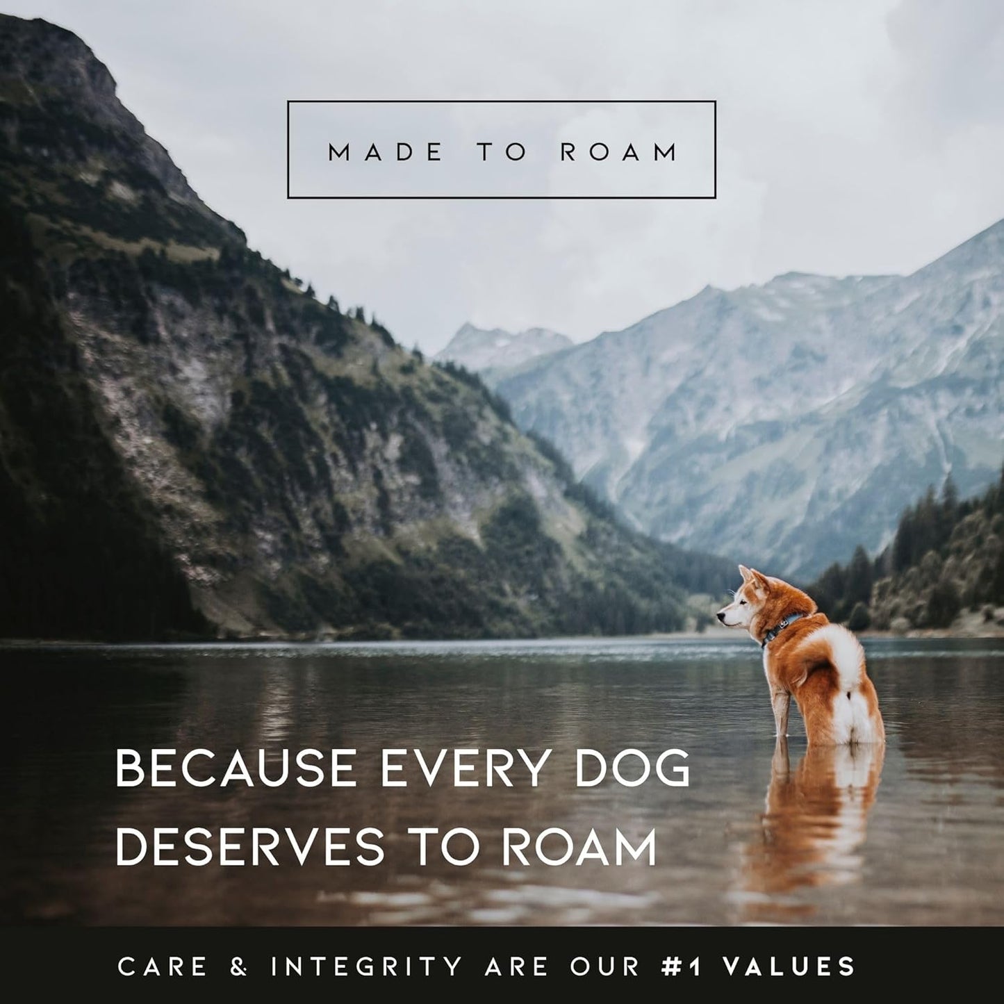 MADE TO ROAM Premium Explorer Harness - Y-Shaped Dog Harness with Adjustable Durable Nylon, Soft Padding, Metal Buckles and Leather Handle for Small, Medium, Large Dogs (Nevada Evening, Size 7)