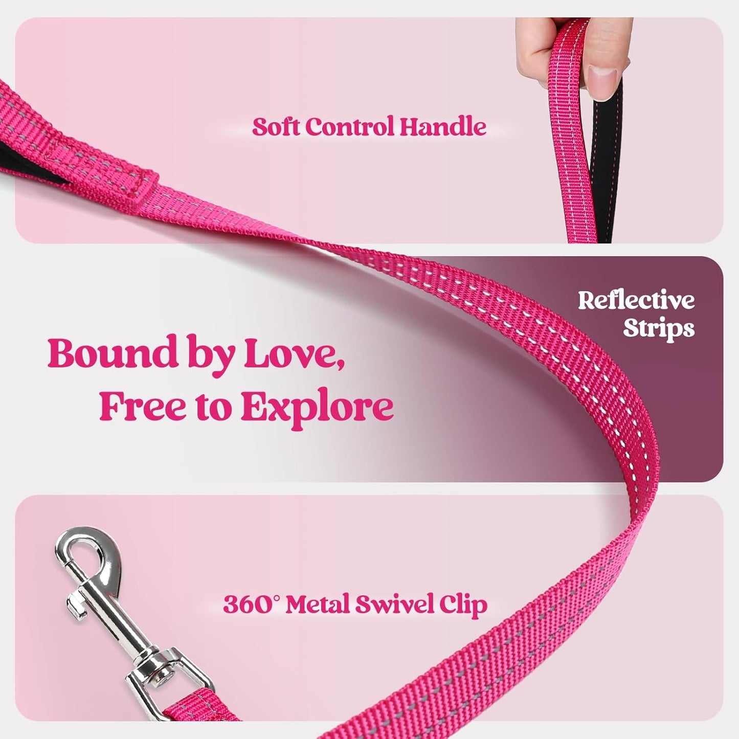 rabbitgoo Dog Harness Small Medium Sized and Leash Set, Step in Soft Light Puppy Vest, Breathable Mesh Pet Harness, Reflective for Safe Easy Walking, Rose Red L