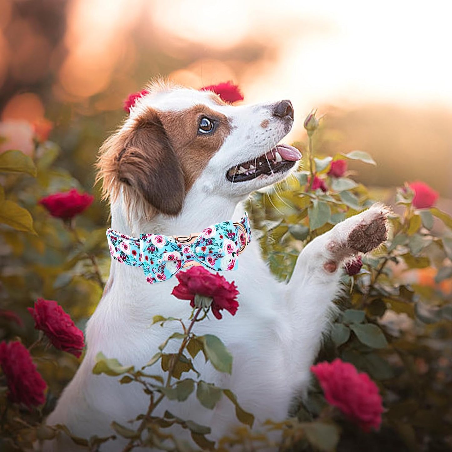 Elegant little tail Dog Collar, Rose Print Pet Collar Summer Dog Collar Durable Metal Buckle Dog Collars Cotton Pet Adjustable Dog Collars for X-Small Dogs