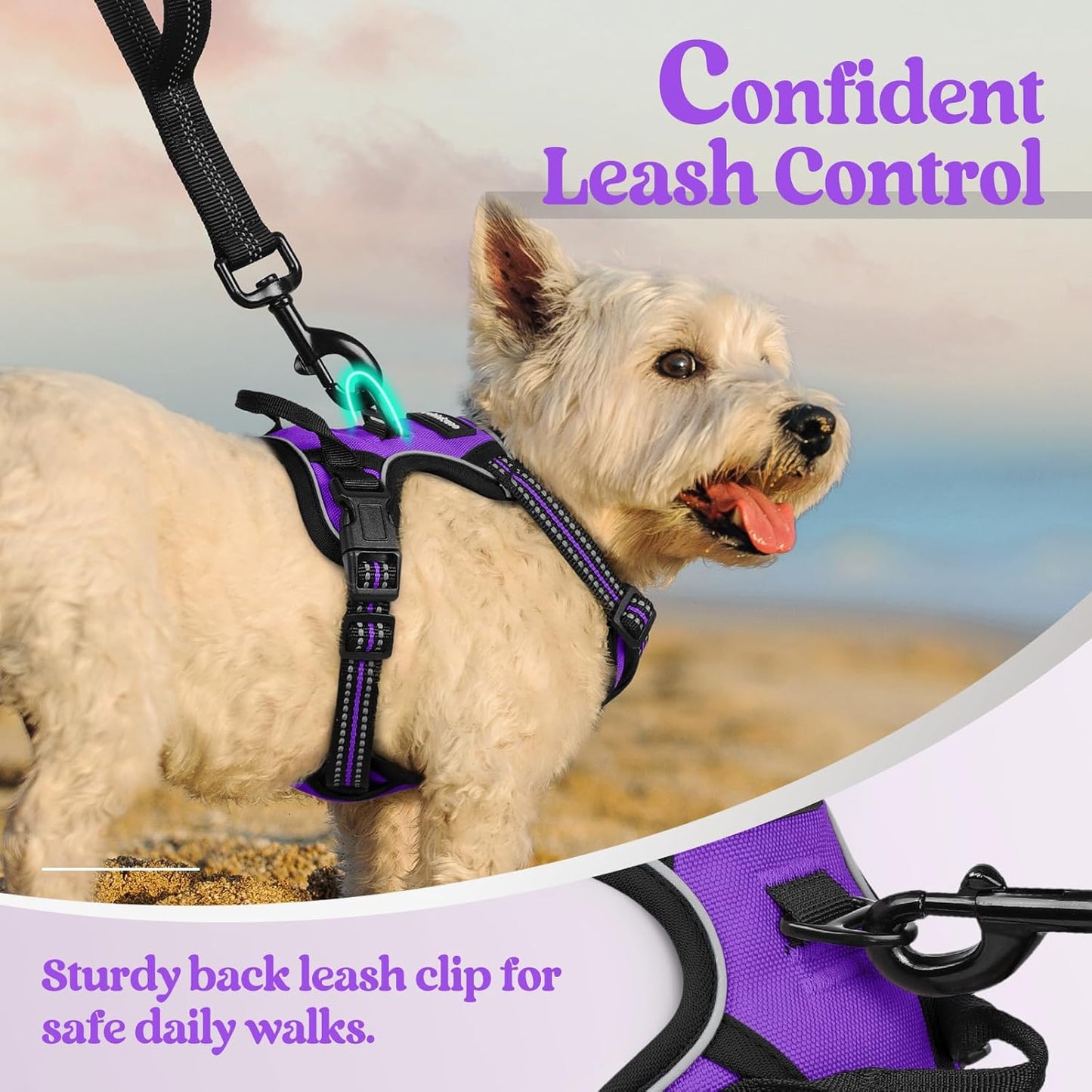 rabbitgoo Dog Harness No Pull with 2 Leash Clips, Adjustable Soft Padded, Reflective Oxford No Choke Pet Vest with Easy Control Handle for Puppy, Purple,XS