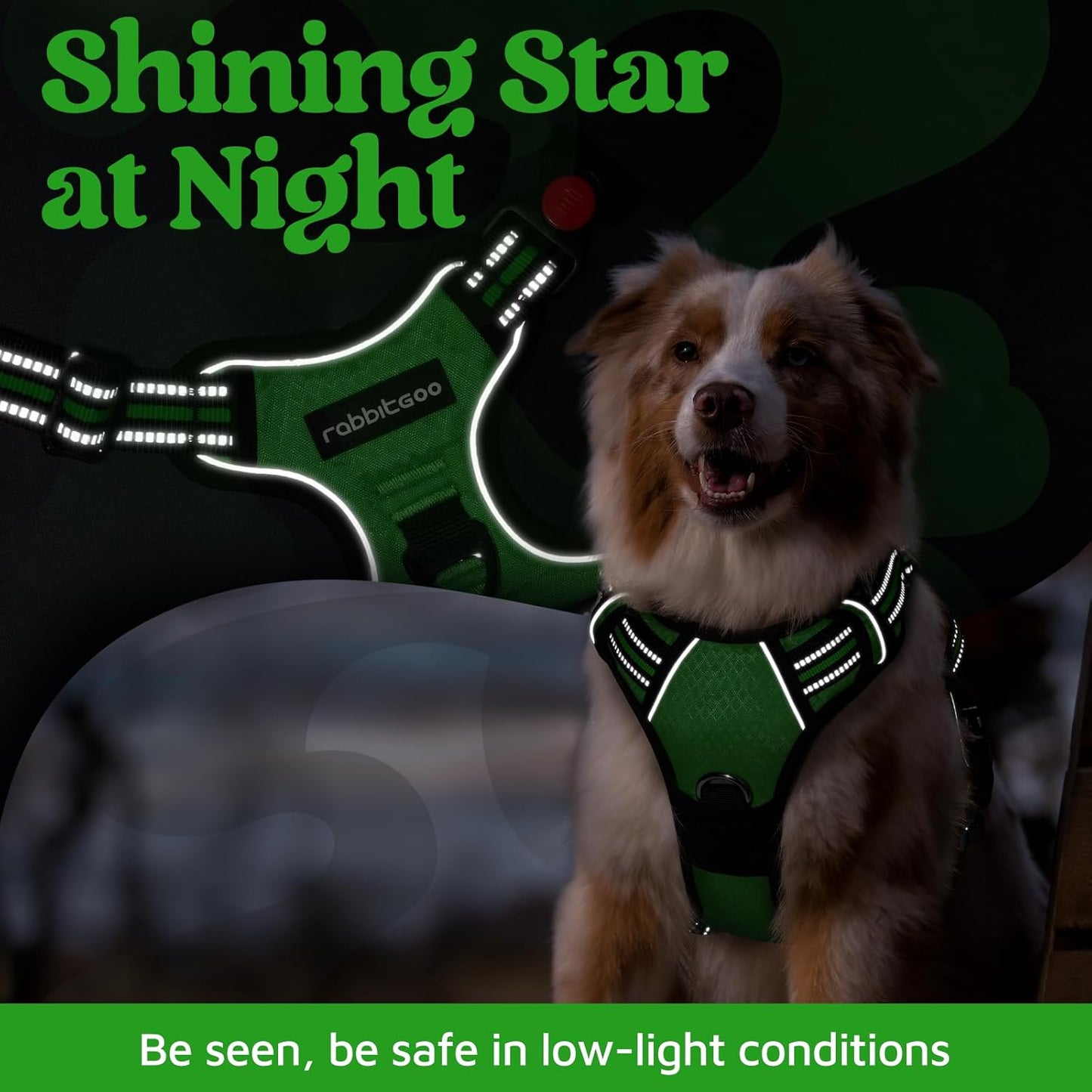 rabbitgoo Dog Harness for Large Dogs, No Pull Pet Vest with 3 Buckles, Adjustable Soft Padded Pet Harness with Easy Control Handle and Reflective Strips, Green, XL