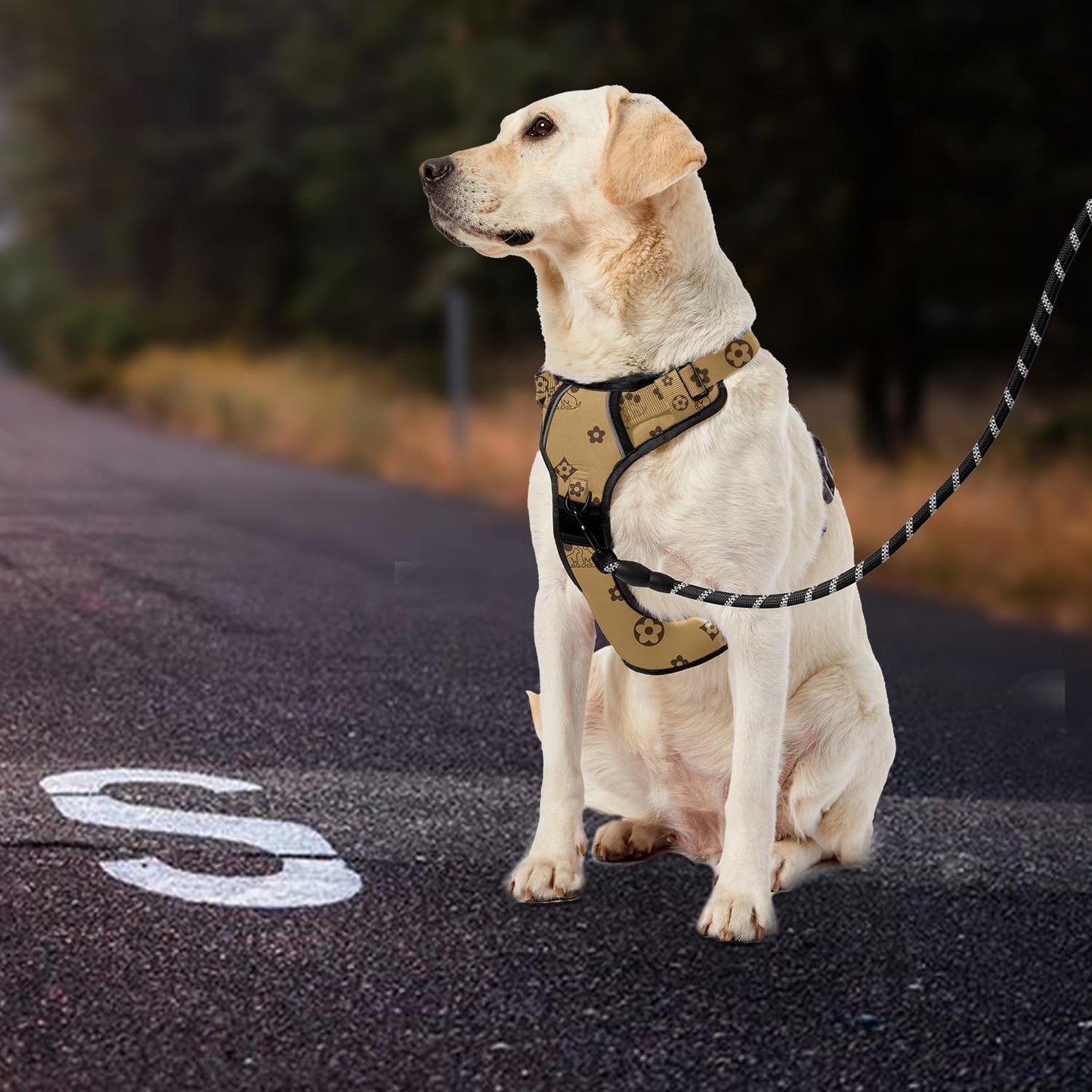 IVY&LANE No Pull Dog Harness with Leash Set, Reflective No Choke Pet Vest,Adjustable Oxford Dog Vest Harness with Easy Control Handle for Large Dogs (Light Brown,L)