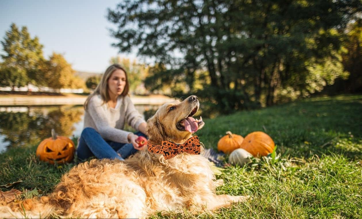 Lionet Paws Halloween Dog Collar with Bowtie - Cute Cotton Adjustable Fall Bowtie Dog Collar with Metal Buckle for Small Medium Large Dog Girl Boy Gift, XS, Neck 8-12in