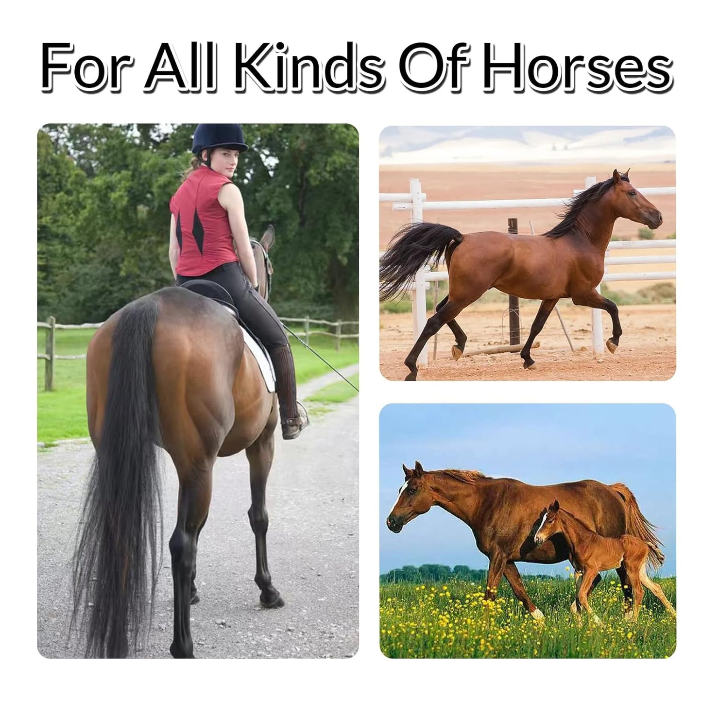 Horse Tail Extension with Braided Horsehair Loop, Blunt Cut Bottom, 3/8 lb, 28-30 inches (drak Chestnut)