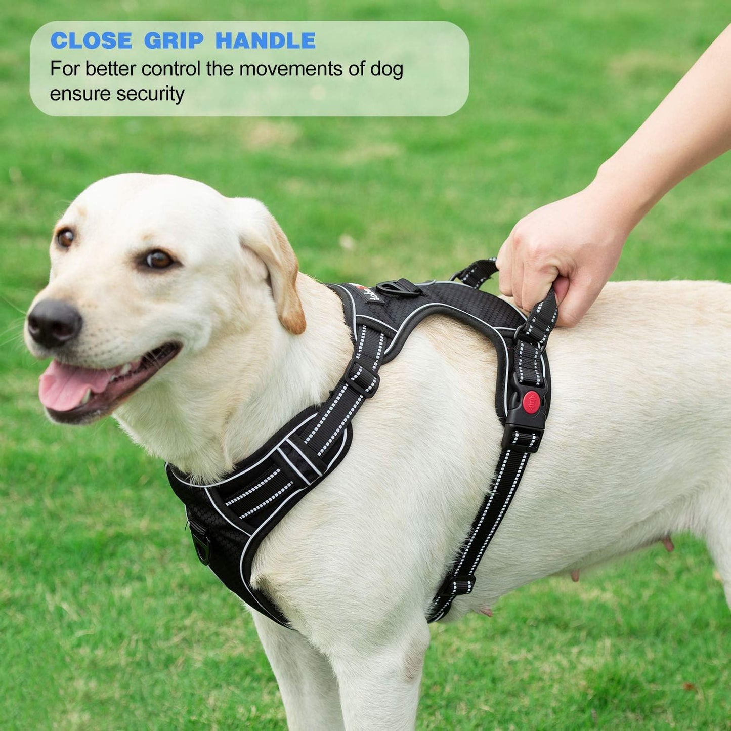 No Pull Dog Harness Adjustable Reflective Oxford Easy Control Medium Large Dog Harness with A Free Heavy Duty 5ft Dog Leash (M (Neck: 14.5"-20.5", Chest: 22"-28"), Red Harness+Leash)