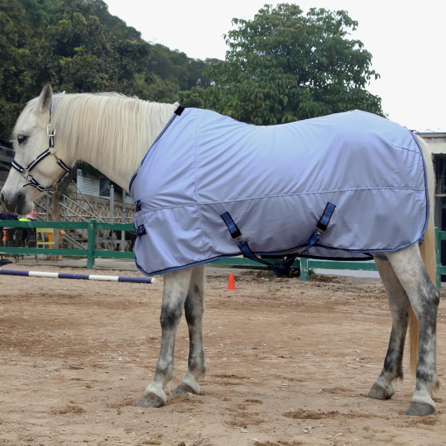 Horse Fly Sheet, Standard Neck Comfy Mesh Fly Sheet for Horses, Equine Summer Sheets UV-Protective Lightblue 63