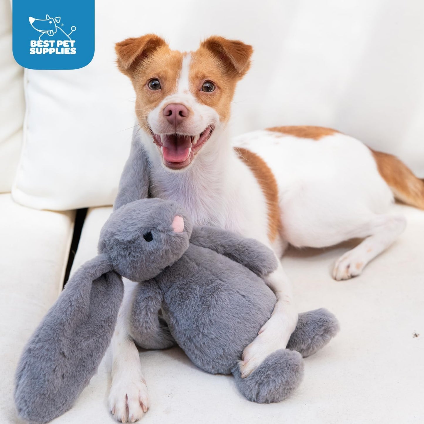 Best Pet Supplies Interactive Squeaky Dog Chew Toy, Ideal Dog Toys for Chewers, Small, Medium & Large Dogs, and Fetch Lovers - Bunny (Beige, Gray), Large