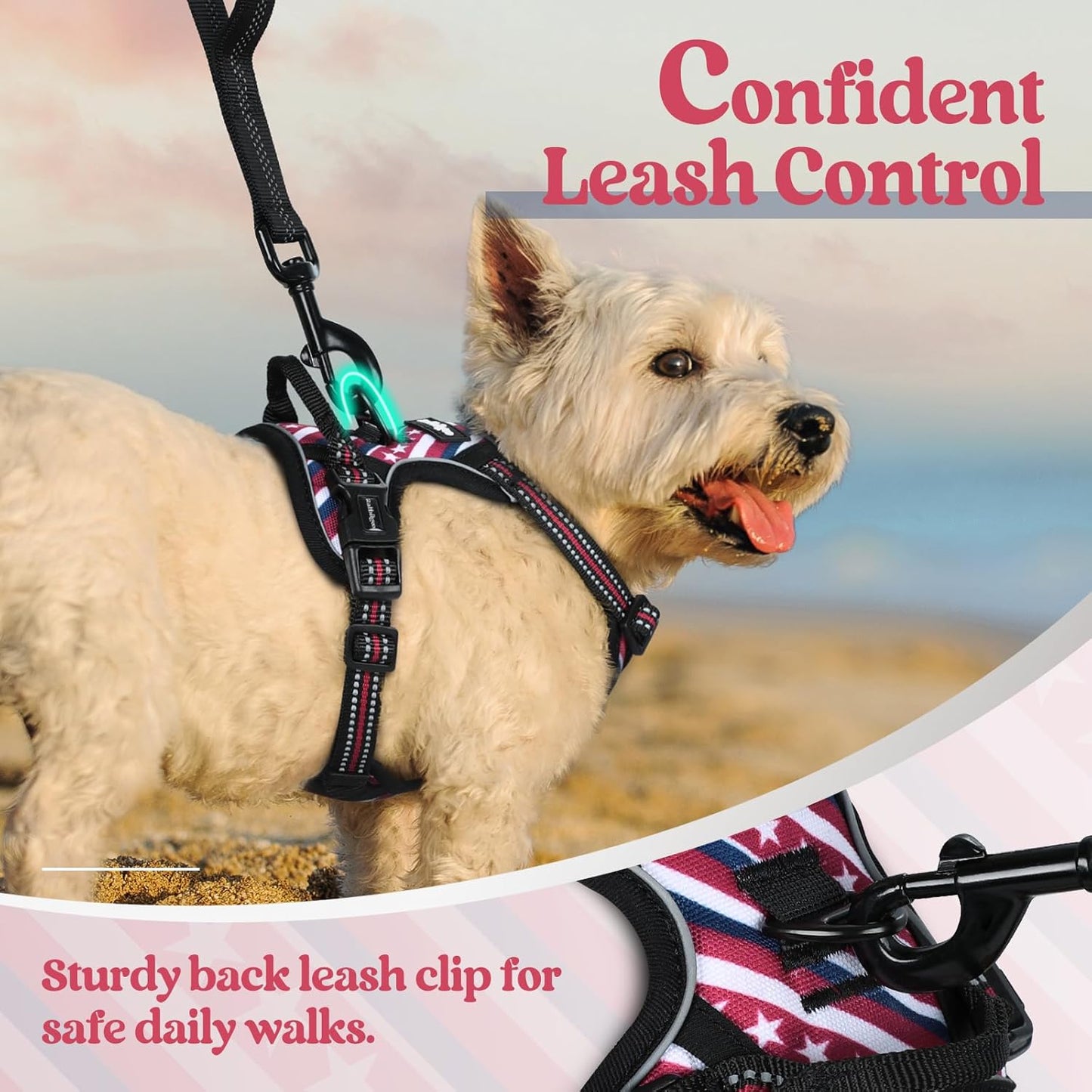 rabbitgoo Dog Harness No Pull with 2 Leash Clips, Adjustable Soft Padded, Reflective Oxford No Choke Pet Vest with Easy Control Handle for Large Dogs, Red Stripe, XS