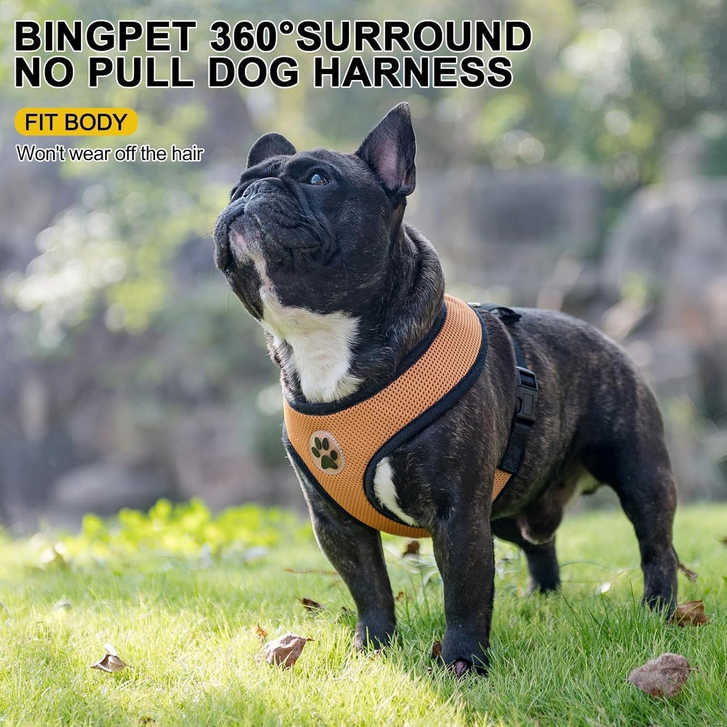 BINGPET No Pull Dog Harness, Soft Mesh Breathable All Weather Vest, Safety Protection Design, Durable Adjustable Step-in Easy Walk Dog Harness for Extra Large Dogs (Beige, XL)