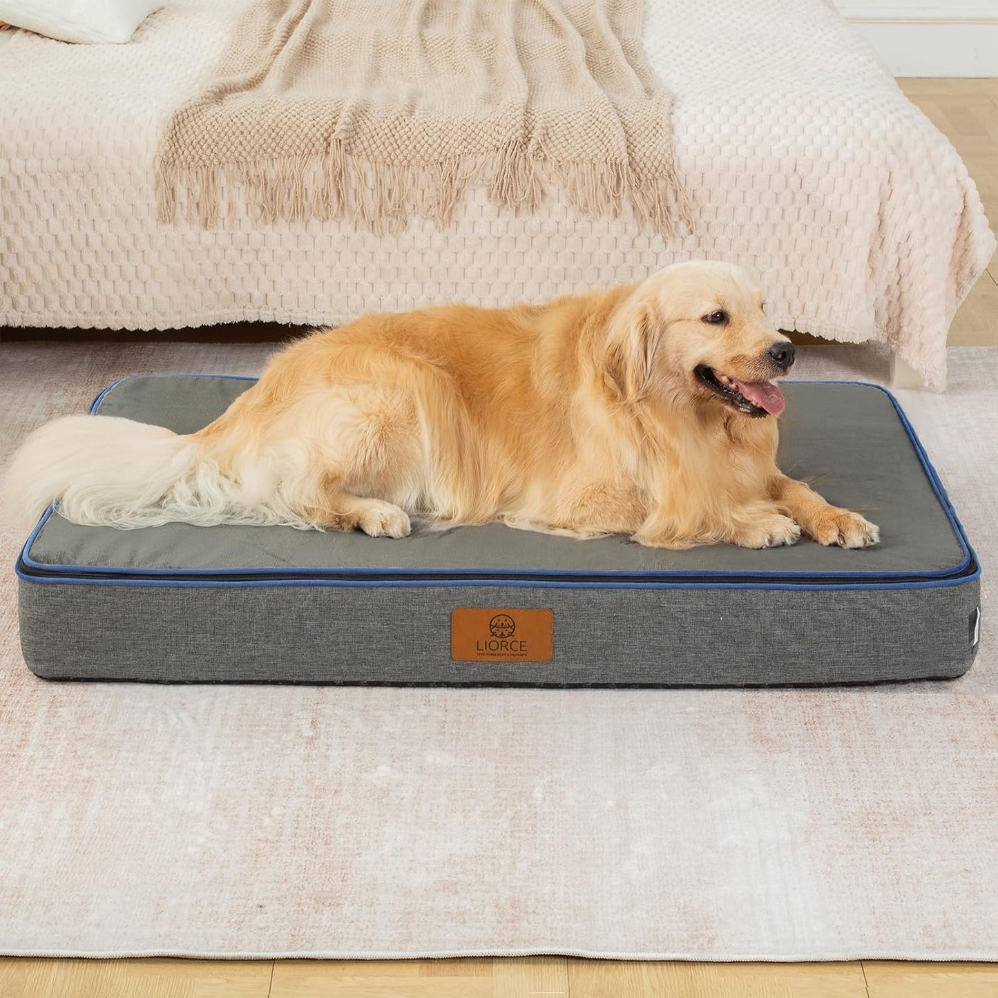 Orthopedic Memory Foam XXL Dog Bed - 6" Thick Beds for Extra Large Sized Dog - Waterproof Removable Washable Cover & Wrap-Around Zipper - Ultimate Comfort & Easy Maintenance, Dary Grey