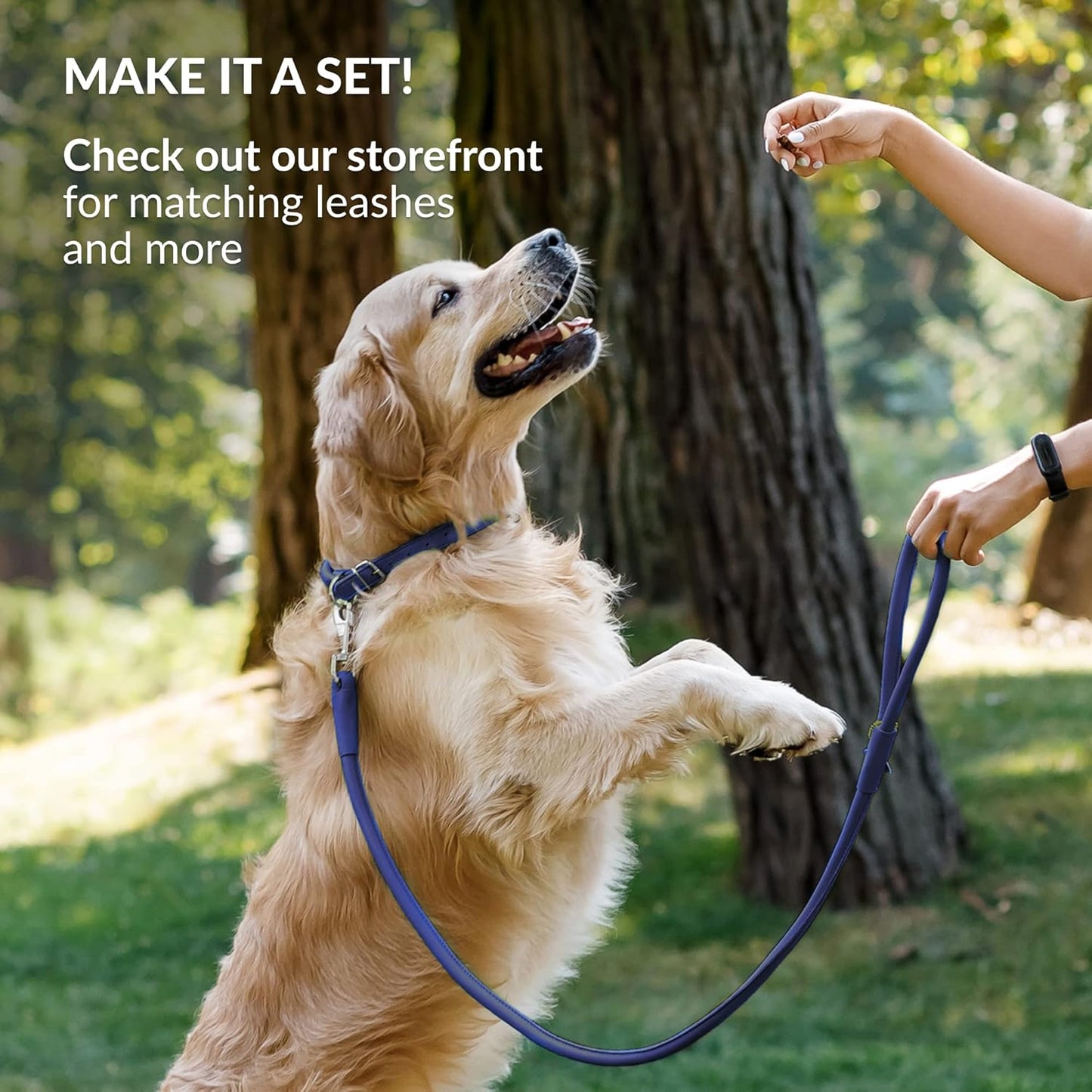 CollarDirect Rolled Leather Dog Collar, Soft Padded Round Puppy Collar, Handmade Genuine Leather Collar Dog Small Large Cat Collars 13 Colors (8-11 Inch, Deep Blue Smooth)