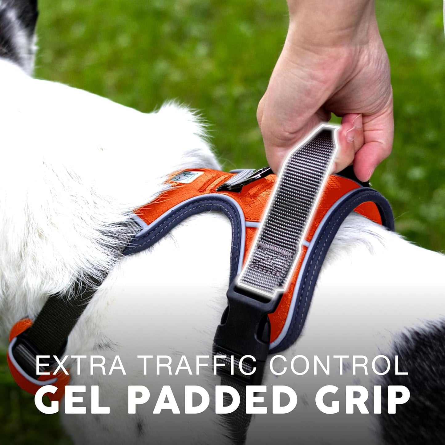 Embark Adventure Dog Harness, Reflective Trim No Pull Harness for Large Dogs - Military Grade Nylon, Front Clip with Gel Lined Handle. Soft & Padded Puppy Harnesses for Any Breed