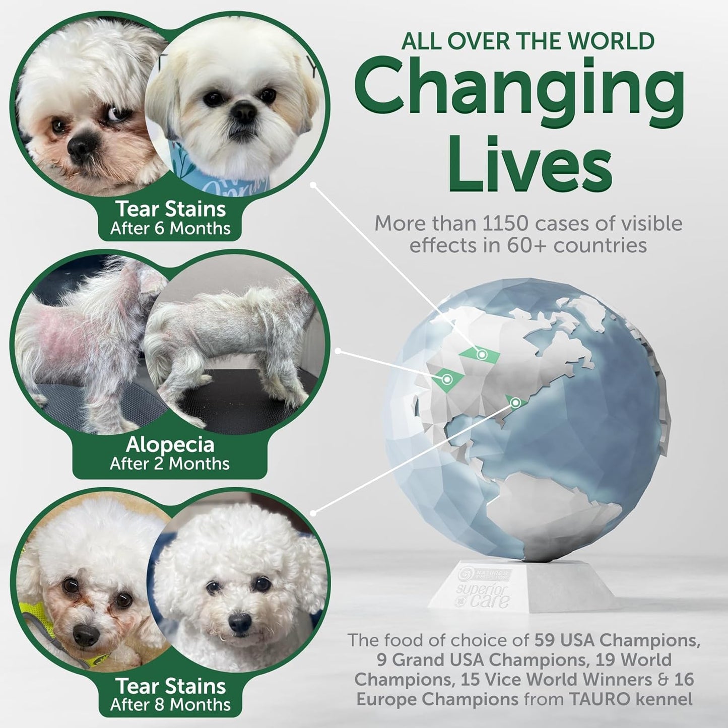 Nature's Protection Grain Free Dry Dog Food for Small Breed - High Protein Tear Stain Formula - Small Kibble for Adult Dogs with Light Fur (Superior Care - Herring, 22 lb)