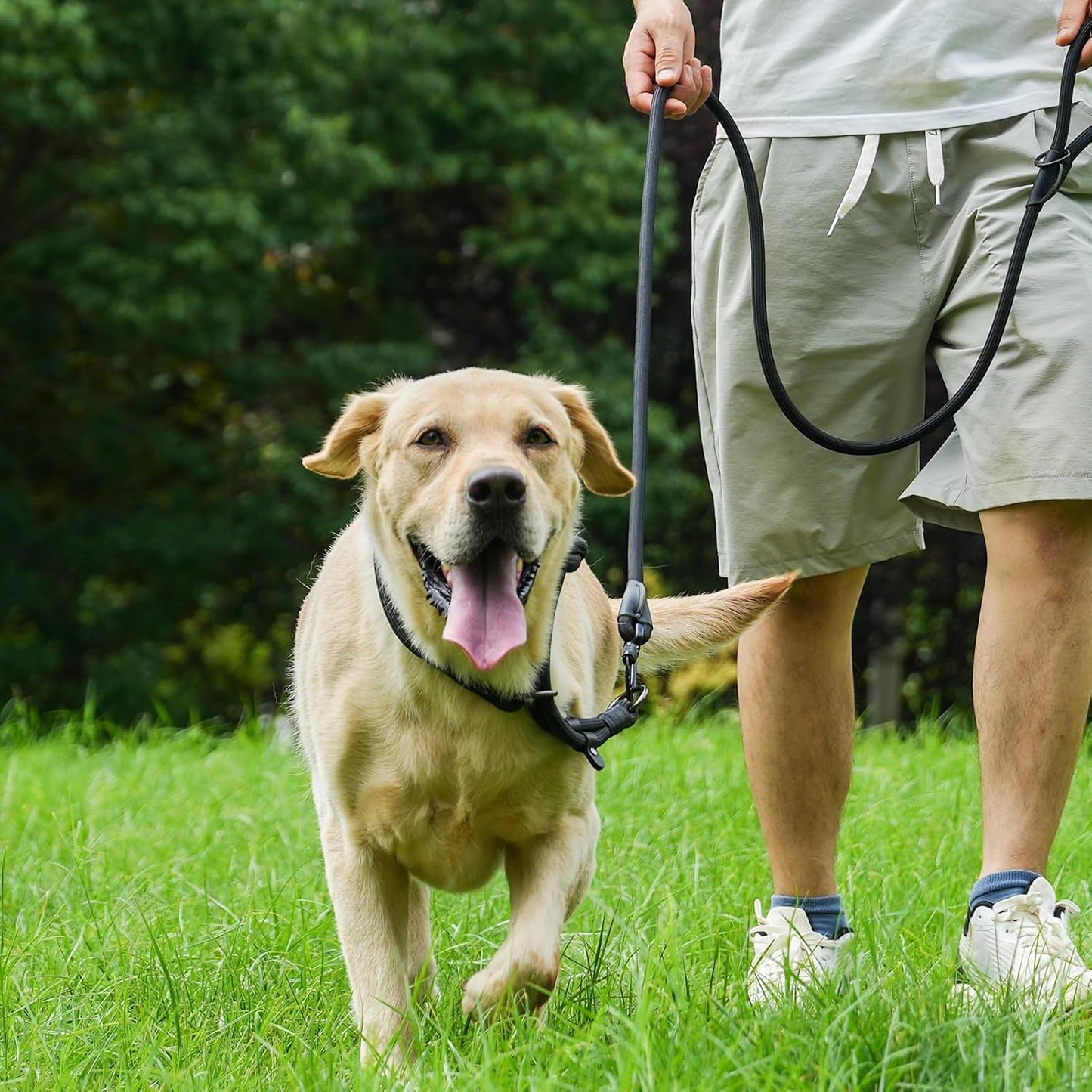 Rope Dog Leash with Two Handles, 6 Foot Heavy Duty Dog Leash with Aviation Aluminum Auto Locking Carabiner, Strong Nylon Pet Lead for Small, Medium, Large Dogs (Rose Red, 6FT-Two Handle)