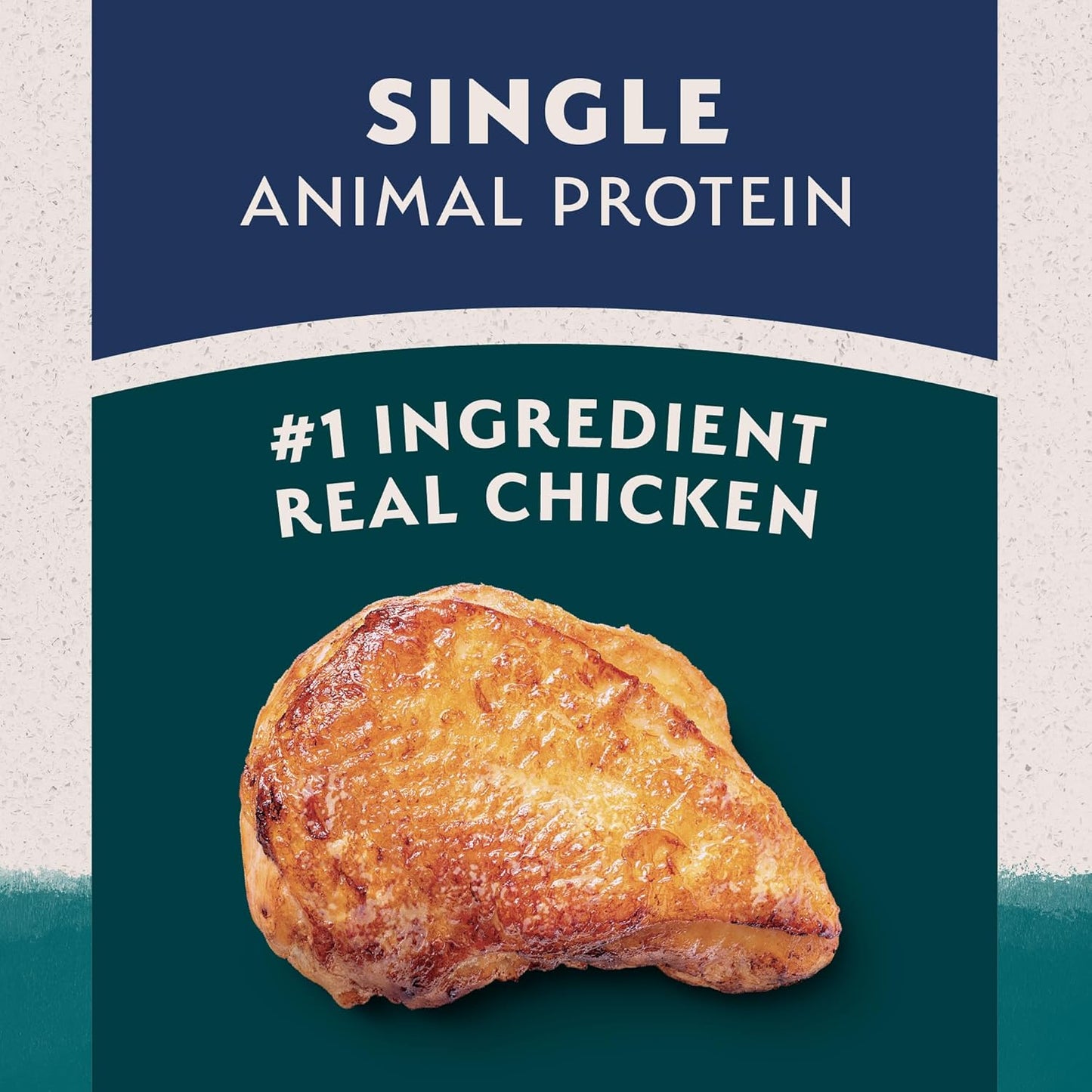 Natural Balance Limited Ingredient Adult Dry Dog Food with Healthy Grains, Chicken & Brown Rice Recipe, 12 Pound (Pack of 1)