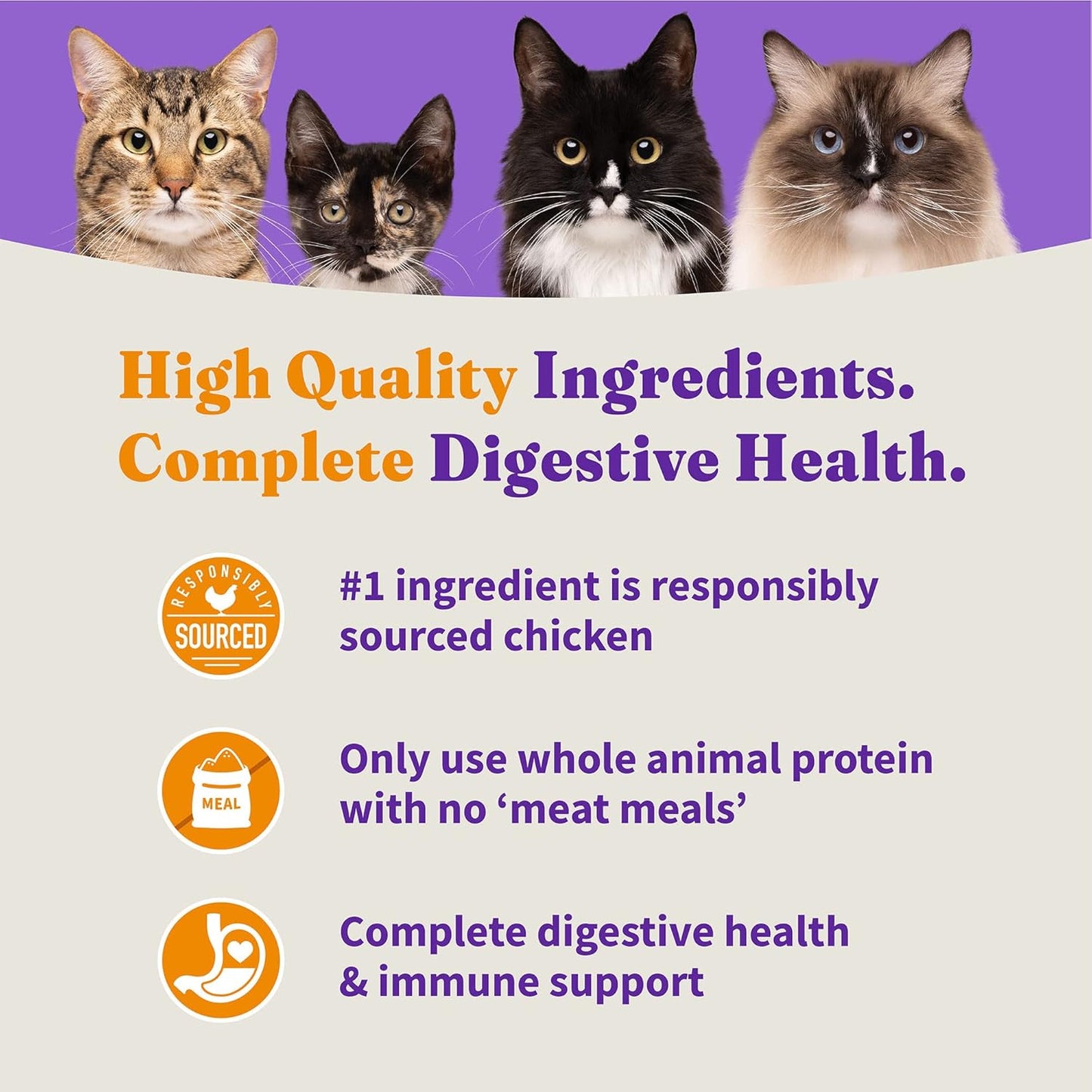 Halo Holistic Cage Free Chicken Cat Food, Grain Free Dry Cat Food, For Healthy Weight Support, Kibble for Indoor Cats, 6 lb Bag