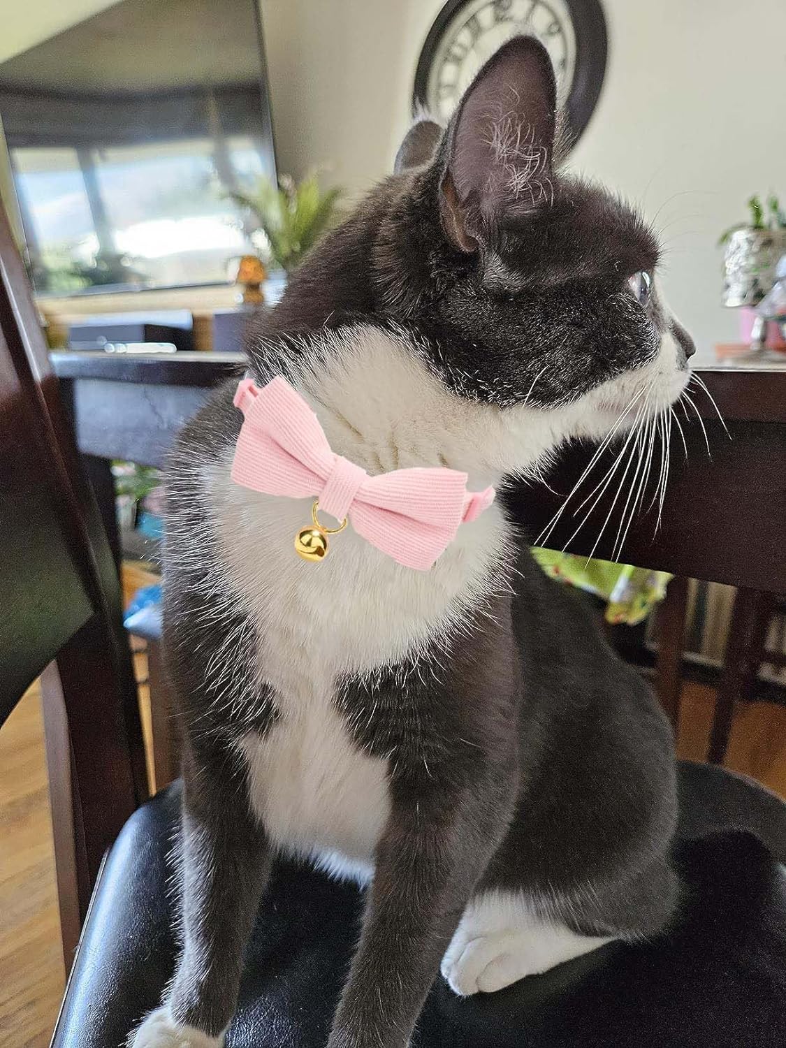 2 Pack Soft Corduroy Cat Collars with Bow Tie & Bell, Adjustable Breakaway Cotton Kitty Bowtie Collar for Girl Female Kitten (Pink & Purple)