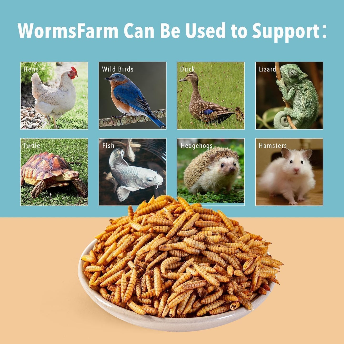 5LB Dried Black Soldier Fly Larvae Treat for Chicken More Calcium Than Mealworms,for Laying Hen,Wild Birds (5 Pound)