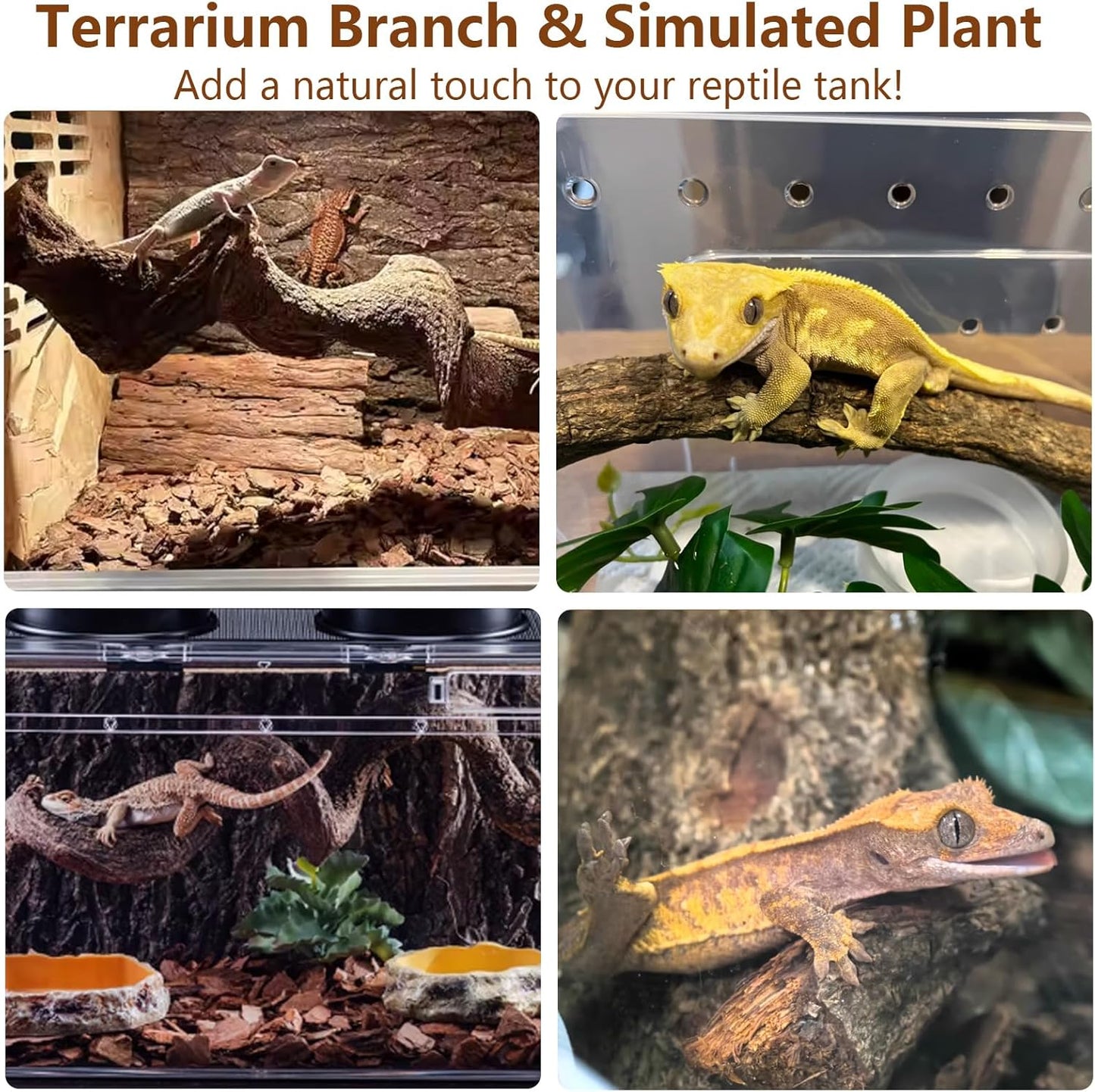 BNOSDM Reptile Climbing Branches Decor,Snake Climbing Branch,Gecko Climb Wood,Lizard Forest Branch,Tank Habitat Tree Trunk Decorations for Bearded Dragons,Chameleons,Spider,Frogs (XL)