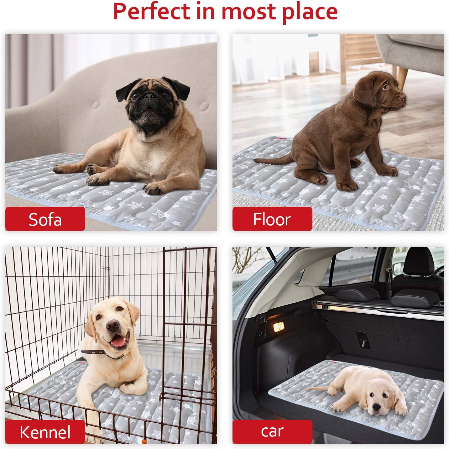 Dog Crate Mat (30" X 19"), Soft Dog Bed Mat with Cute Prints, Personalized Crate Pad, Anti-Slip Bottom, Machine Washable Kennel Pad
