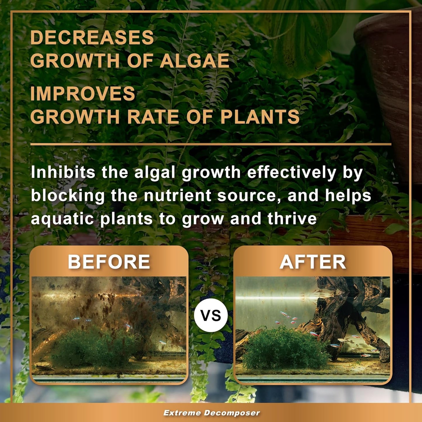 AZOOPLUS BIO XD Extreme Decomposer Nitrifying Bacteria for Freshwater and Saltwater Fish Tank 16.9 Ounces