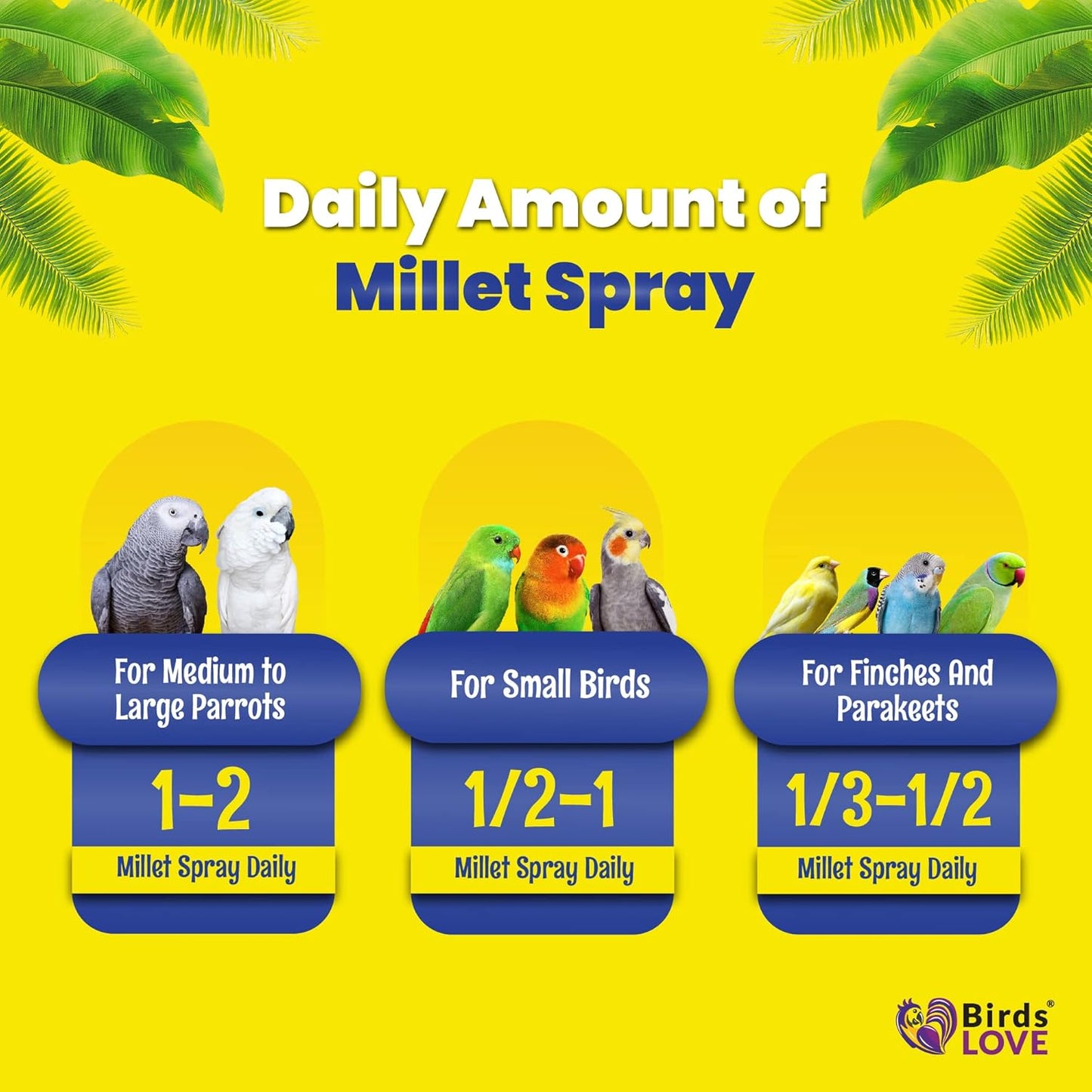 Birds LOVE Economy & Thin Special Spray Millet GMO-Free (No Stems Only Edible Tops) for Birds Cockatiel Lovebird Parakeet Finch Canary All Parrots Healthy Treat - 25lbs