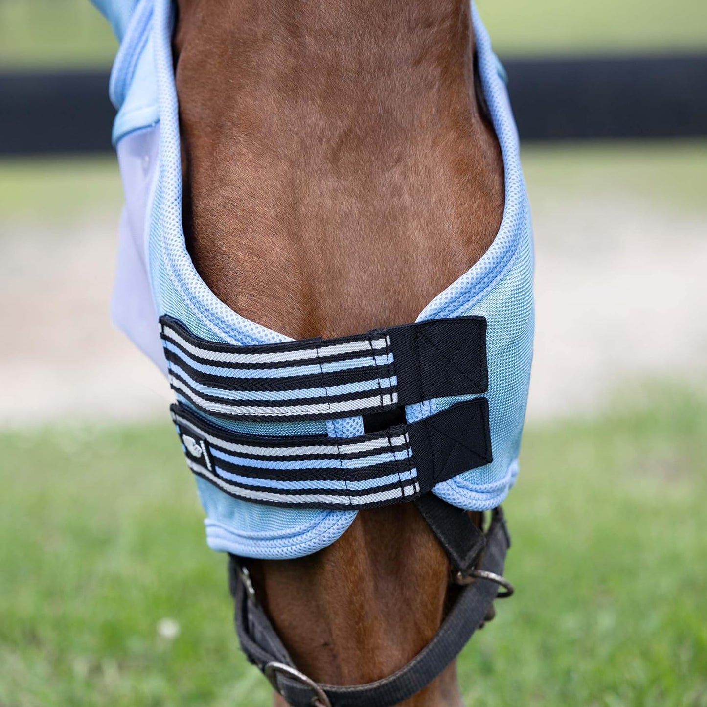 Equinavia Algard Soft Mesh Horse Fly Mask with Ear Protection and 45 UPF Rating | No Eye Irritation & UV Protection - Light Blue - Warmblood