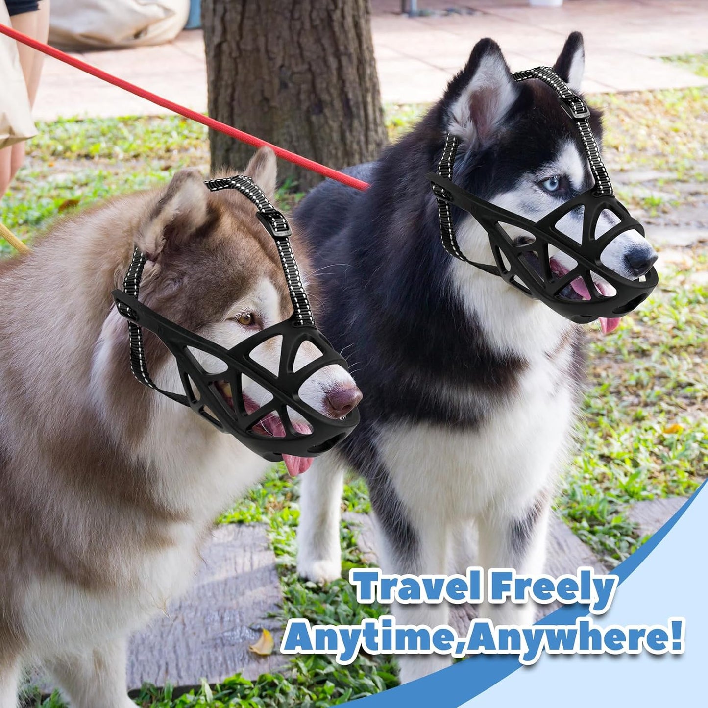 Dog Muzzle for Large Dogs, Medium and X-Large Aggressive Dog, Breathable Basket Muzzles, Suitable for Grooming Trimming Training, Allows Panting Drinking (Black, M)