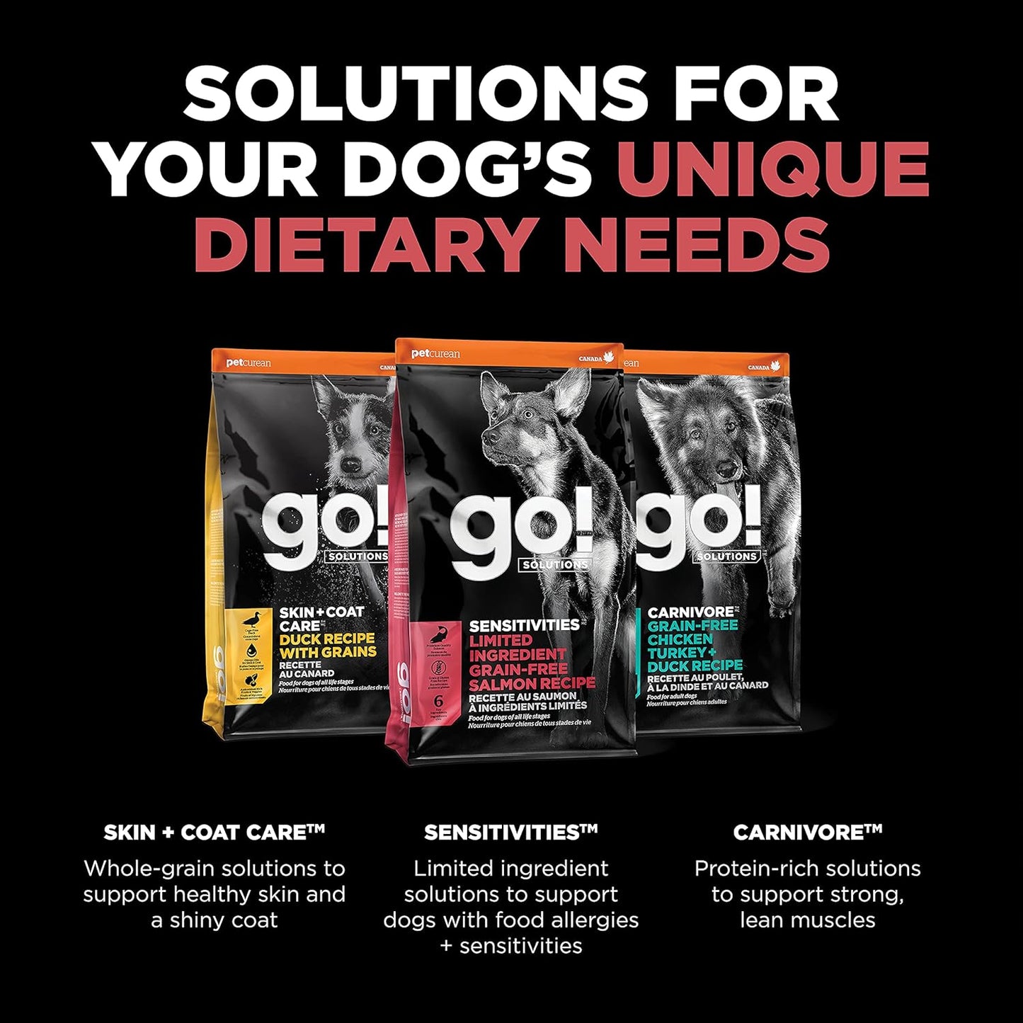 Go! Solutions Sensitivities Limited Ingredients, Grain-Free Dry Dog Food, Salmon Recipe for Sensitive Stomach, 12 lb Bag