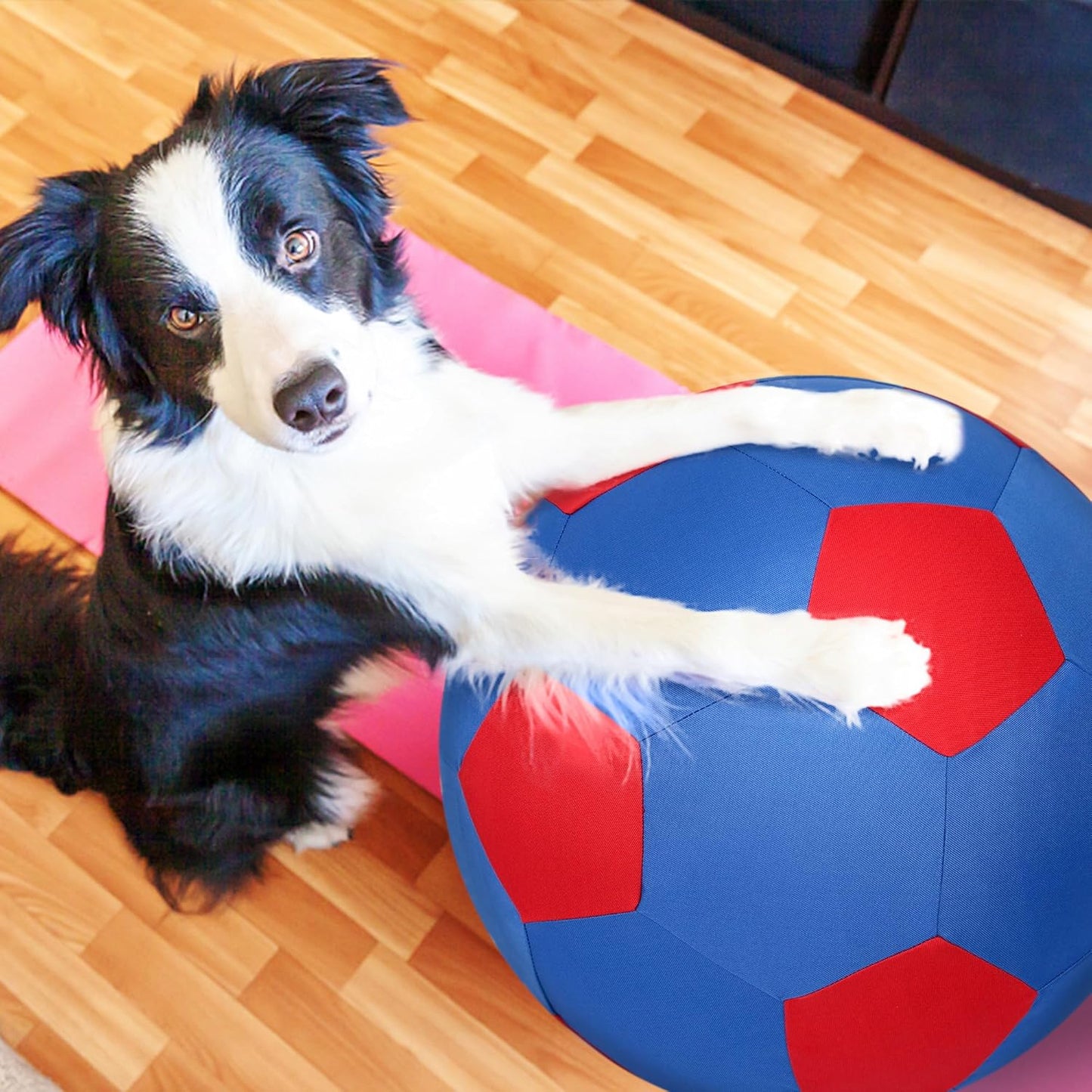 Herding Ball for Dogs & Horses - 20" Ball with Hand Pump - Blue & Red