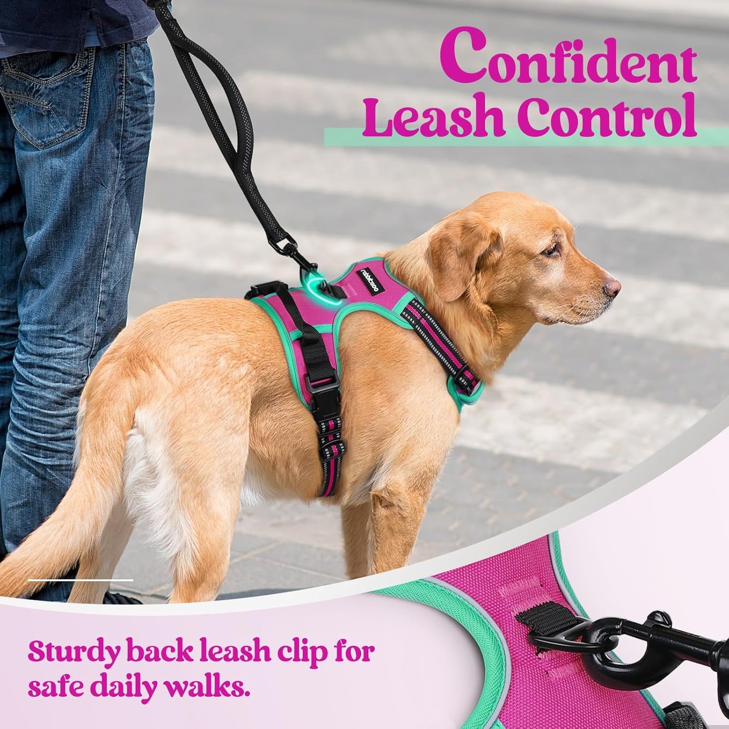 rabbitgoo Dog Harness No Pull with 2 Leash Clips, Adjustable Soft Padded, Reflective Oxford No Choke Pet Vest with Easy Control Handle for Large Dogs, Hot Pink & Turquoise, L
