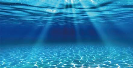 Natural Undersea Aquarium Background, Underwater Ocean Sunlight Fish Tank Background 48X18IN with 8 EVA Double-Sided Tape