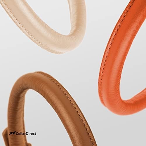 CollarDirect Rolled Leather Dog Collar, Soft Padded Round Puppy Collar, Handmade Genuine Leather Collar Dog Small Large Cat Collars 13 Colors (13-16 Inch, Orange Textured)