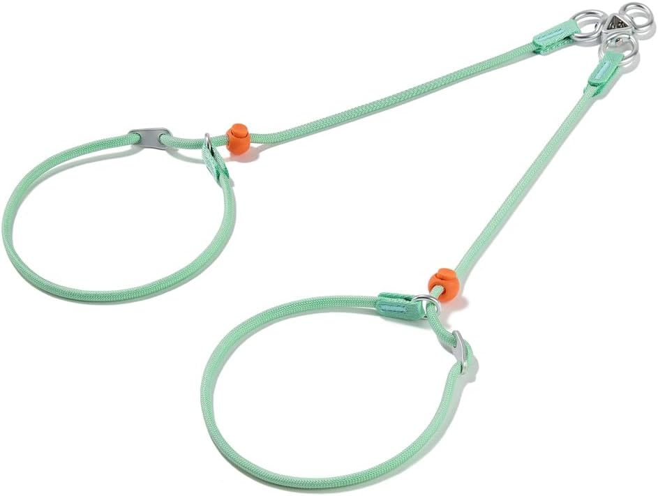 Howgo Double Slip Leash Slip Lead | Dual Dog Lead for 2 Dogs,360° Swivel No Tangle | Dog Training Nylon Leash and Collar | Double Clip Coupler and Splitter | Lightweight Aluminum (MintGreen, 3FT)