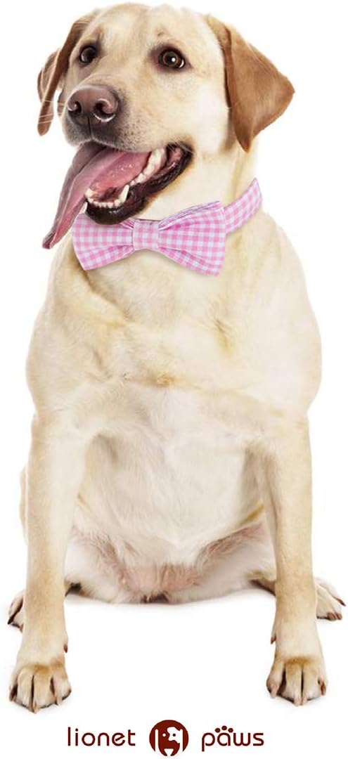Lionet Paws Dog Collar with Bowtie, Comfortable Adjustable Cute Pink Gingham Bow Tie Collar for Female Dogs Gift, Large, Neck 16-24 inches