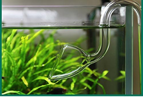 Glass Lily Pipe Outflow for Aquarium Planted Tank (20mm for 19/25mm (3/4" ID) tubing)