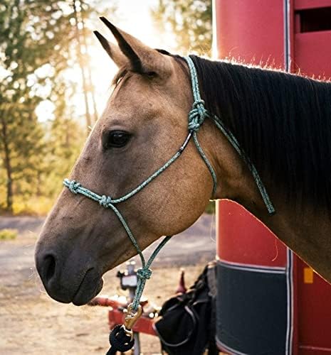 Horse Rope Training Halter - 4 Knot 1/4" Stiff Halter Cord - Used by Famous Trainers Multiple Sizes Multiple Colors
