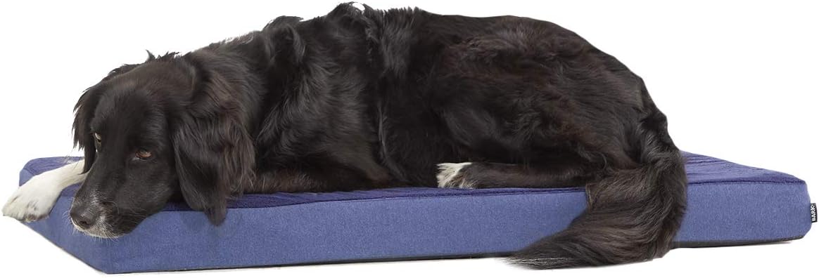 Barkbox Orthopedic Dog Bed with Memory Foam, Premium Comfort for Dogs and Puppies, Dog Bed for Joint Relief and Restful Sleep, Durable and Easy to Clean - Navy, Large