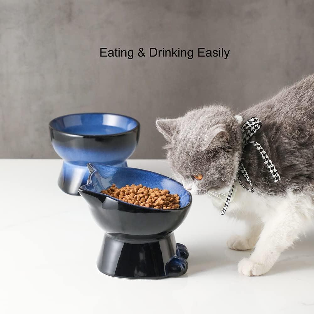 Nihow Elevated Cat/Dog Bowls Set : 6.2 Inch Ceramic Raised Cat Food & Water Bowl Set for Protecting Pet's Spine - Feeding & Watering Supplies for Cat/Small Size Dog - Elegant Blue & Black (2 PC)