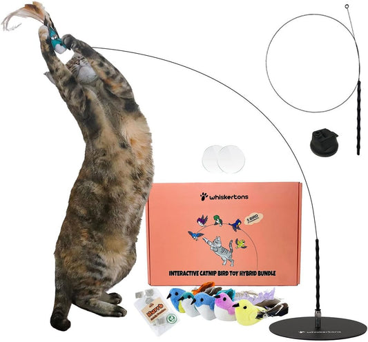 Interactive Catnip Bird Toy Set, Interactive Cat Toys for Indoor Cats, Cat Feather Toy, Suction Cup, Weighted Base, 5 Replacement Birds, Feathers & Bells, Realistic Bird Impression
