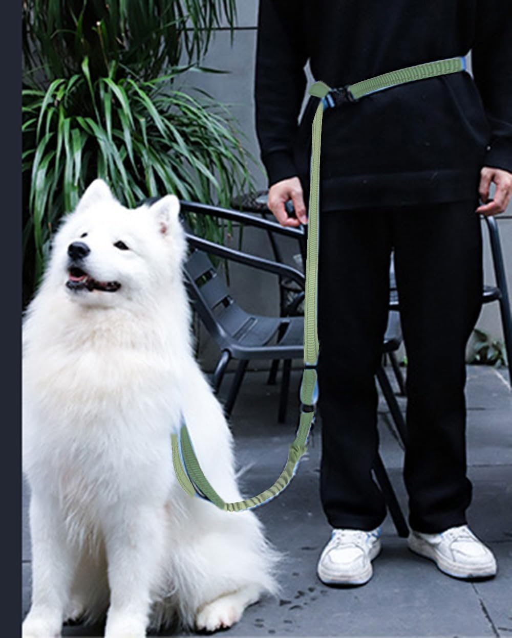 Hands Free Dog Leash for Large Medium Dogs Heavy Duty Bungee Reflective Adjustable Waist Leashes for Walking Running with Car Buckle 4-6FT (Green-1)