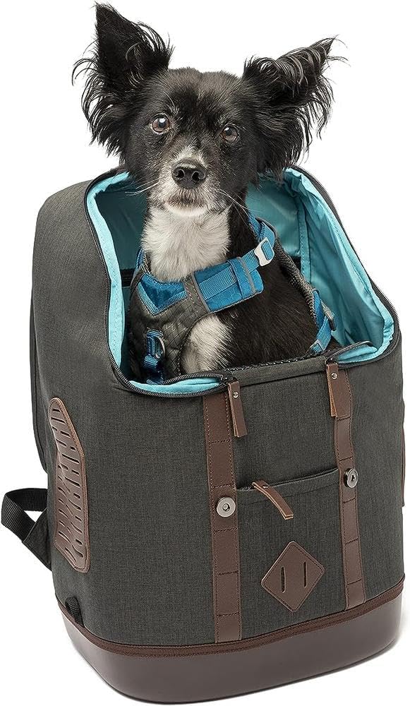 Kurgo Dog Carrier Backpack for Small Pets - Dogs & Cats | Cat | Hiking or Travel | Waterproof Bottom | K9 Ruck Sack (Heather Black)